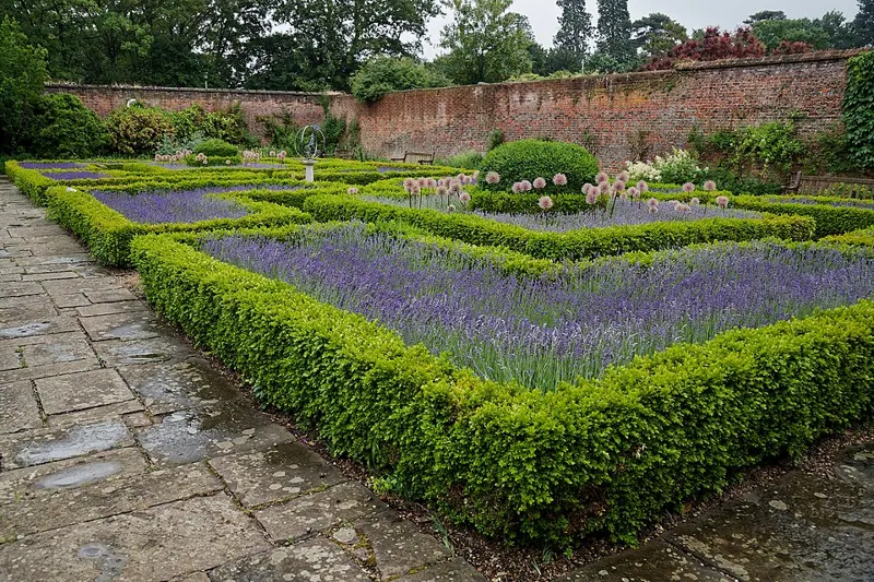 Sprinter Boxwood