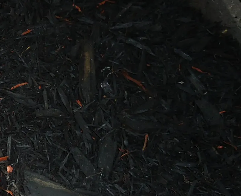 Black Dyed Mulch