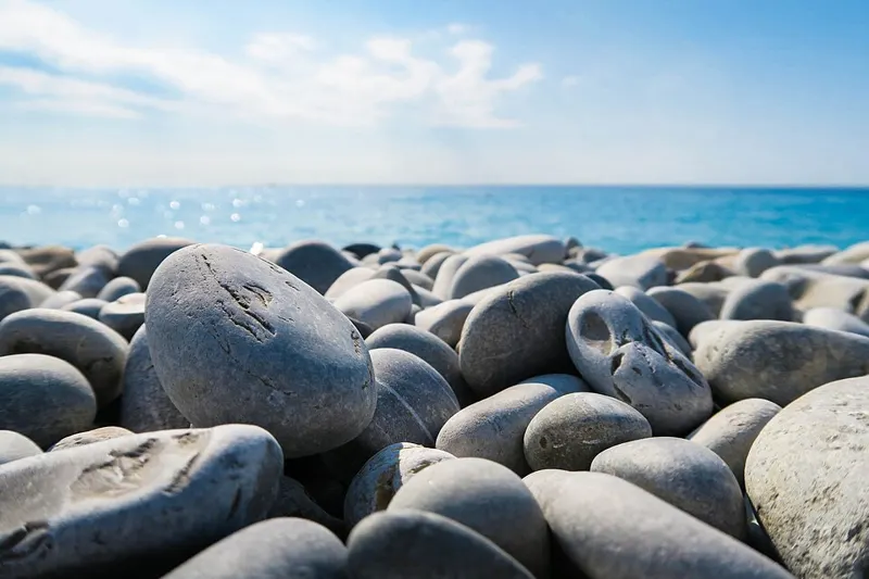 Goose Egg Stone