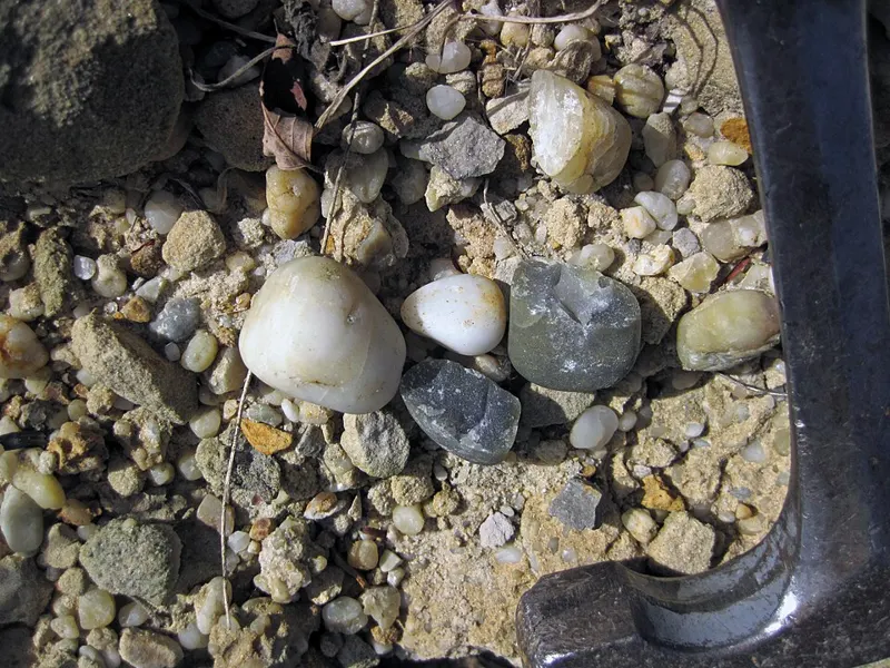 White River Stone